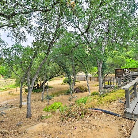 Charming Home Less Than 10 Mi To Sequoia Natl Park! Three Rivers Exterior foto